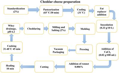 Physicochemical, techno-functional, and proteolytic effects of various hydrocolloids as fat replacers in low-fat cheddar cheese